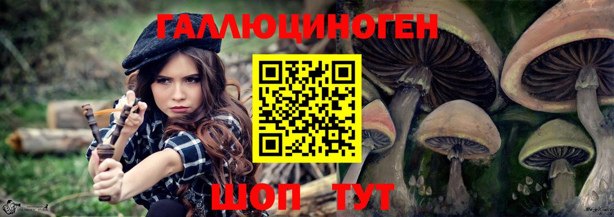 Псилоцибиновые грибы GOLDEN TEACHER Мичуринск