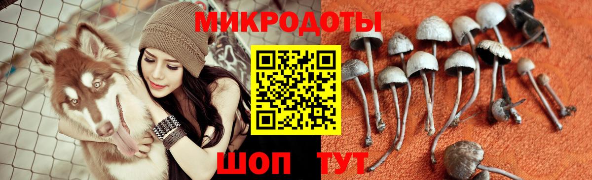 Галлюциногенные грибы мицелий  Псилоцибиновые грибы Psilocybe  где купить наркотик  Вход с VPN  Мичуринск 